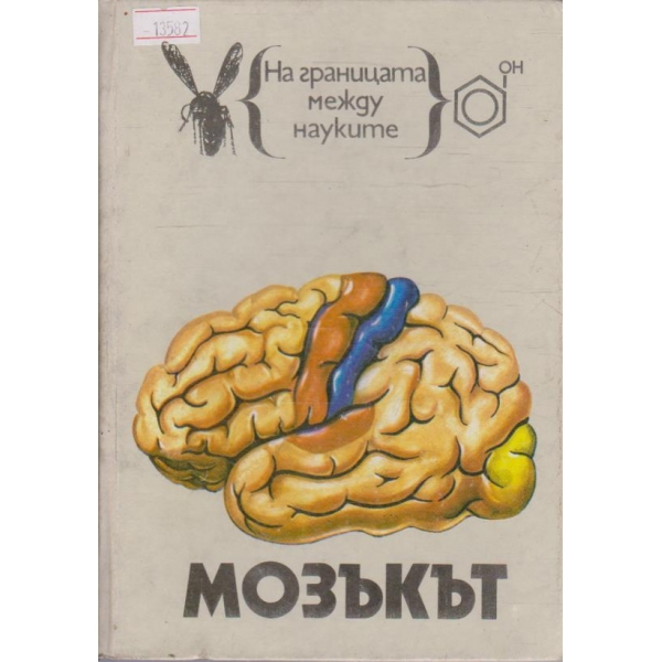 Мозъкът