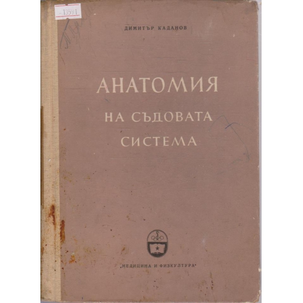 Анатомия на съдовата система
