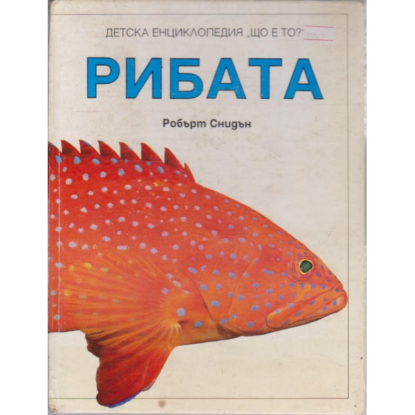 Рибата