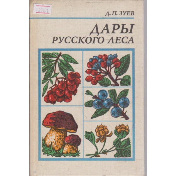 Дари Русского леса