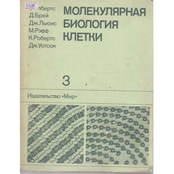 Молекулярная биология клетки - том 3