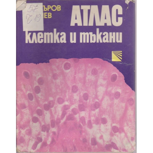 Атлас клетка и тъкани