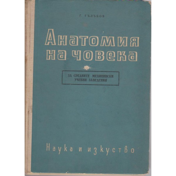 Анатомия на човека