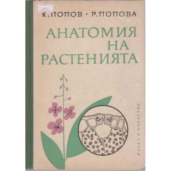 Анатомия на растенията