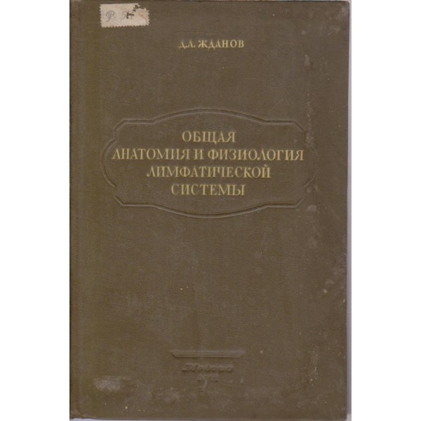Общая анатомия и физиология лимфатической системи