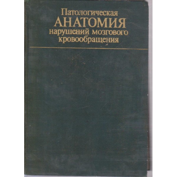 Патологическая анатомия нарушений мозгового кровообращения