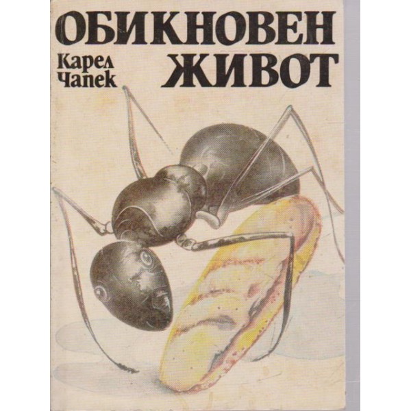 Обикновен живот