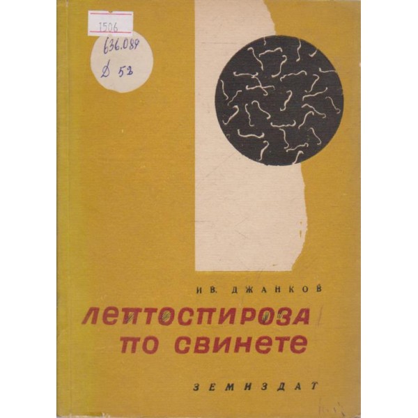 Лептоспироза по свинете