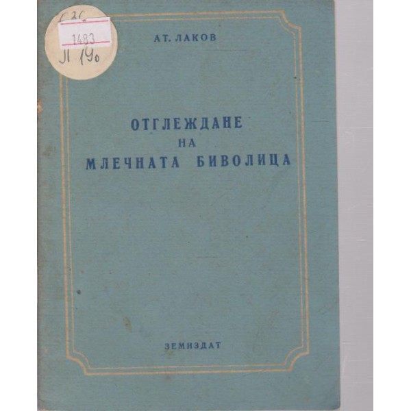 Отглеждане на млечната биволица