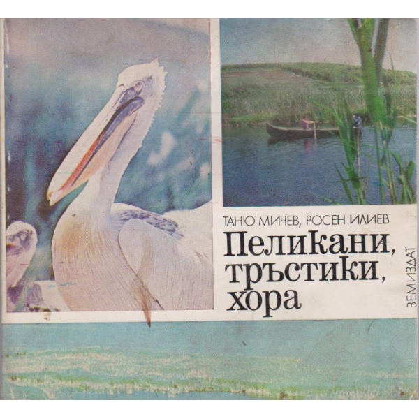 Пеликани, тръстики, хора