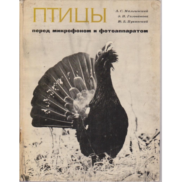 Птици перед микрофоном и фотоаппаратом