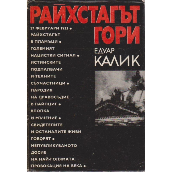 Райхстагът гори