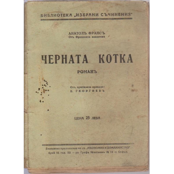 Черната котка