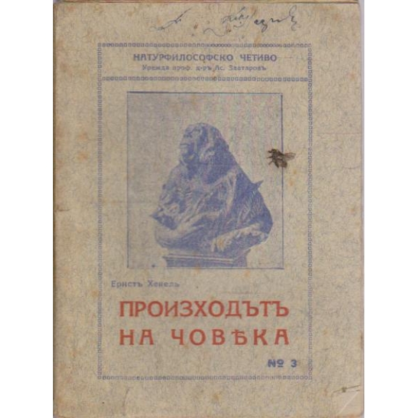 Произходъ на човека