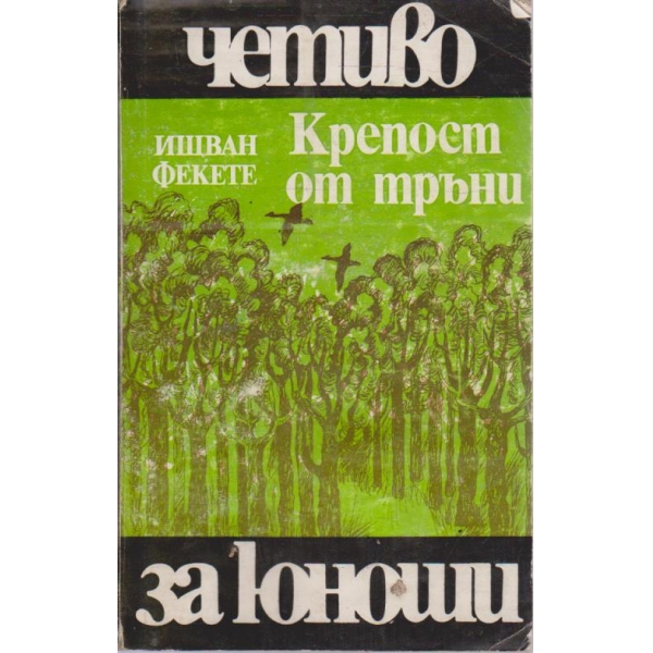 Крепост от тръни-за юноши