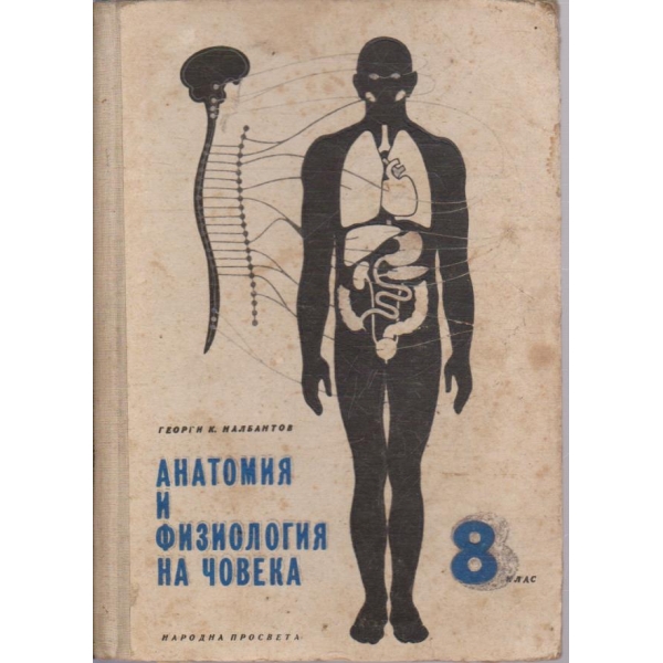 Анатомия и физиология на човека