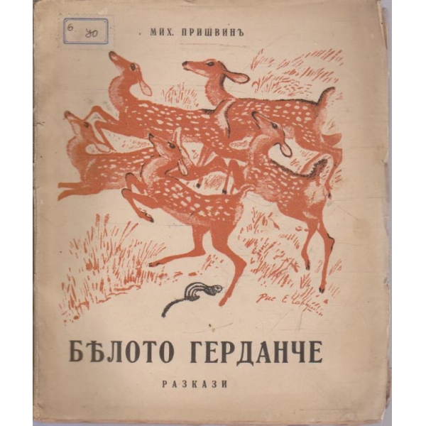Белото герданче