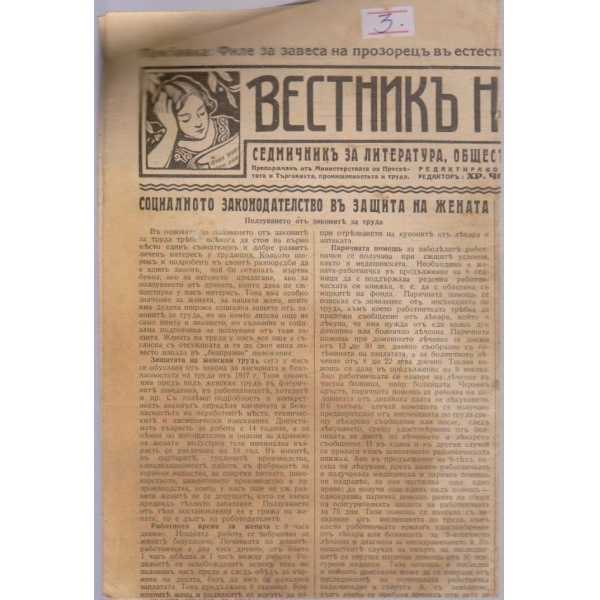 Вестникъ на жената бр.343/1928 -8