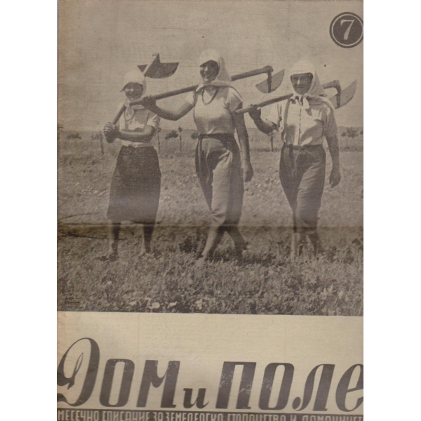 Дом и поле бр.7/1947 -1
