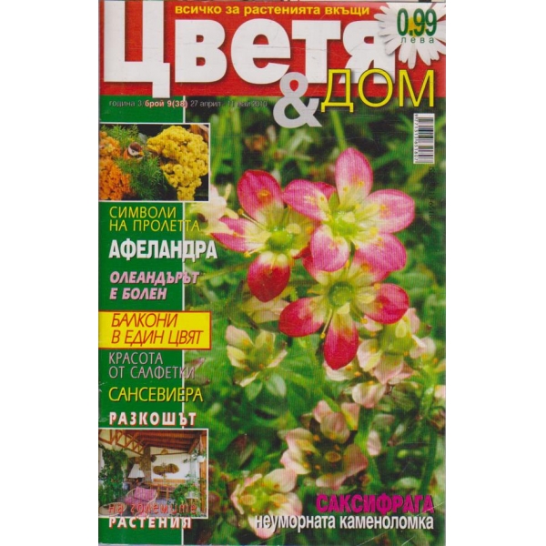 Цветя & дом бр.9/2010 -3