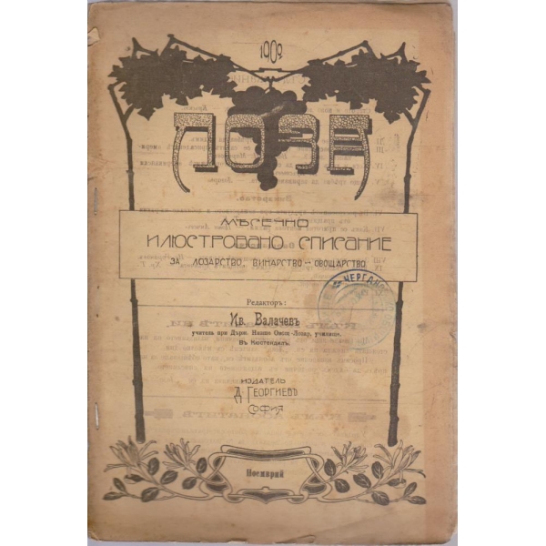 Лоза бр.3/1902 -1