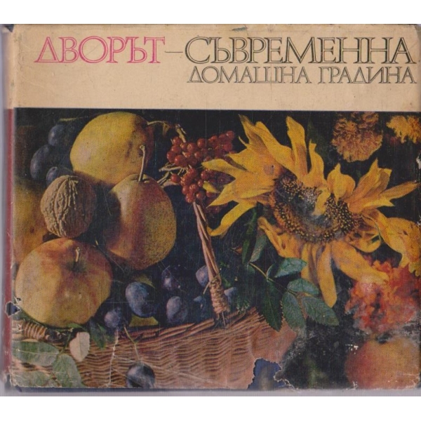 Дворът - съвременна домашна градина