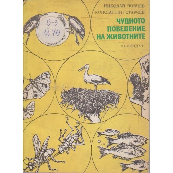 Чудното поведение на животните