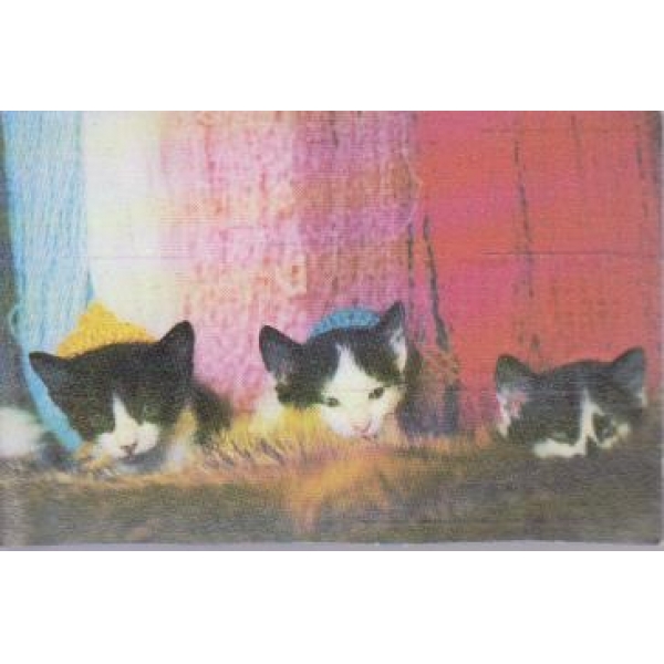 Котета