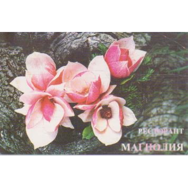 Магнолия