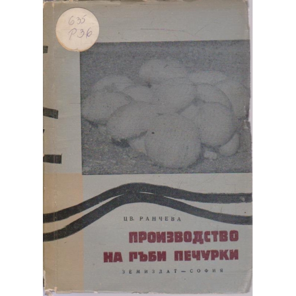 Производство на гъби печурки