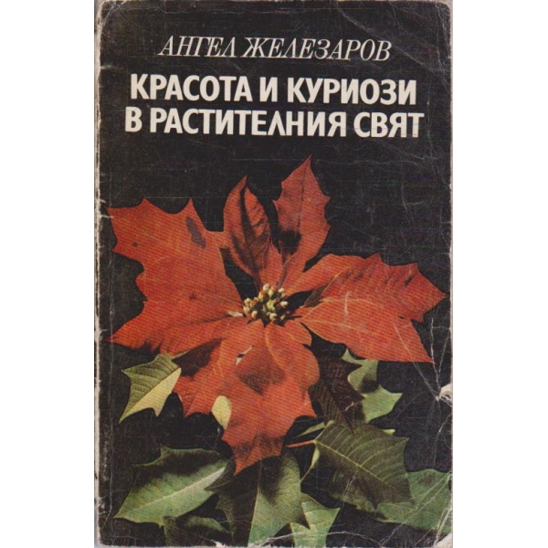 Красота и куриози в растителния свят