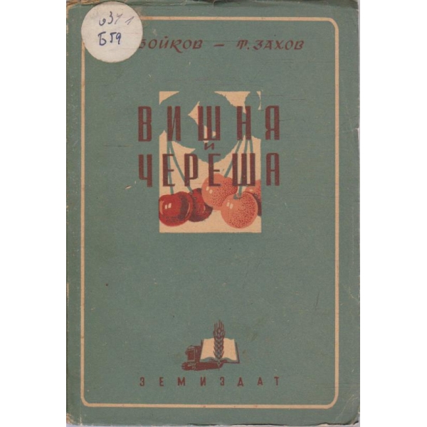 Вишна и череша