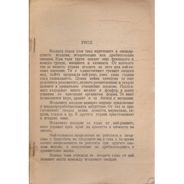 Ягодата
