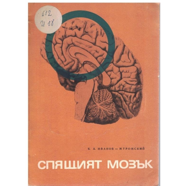 Спящият мозък