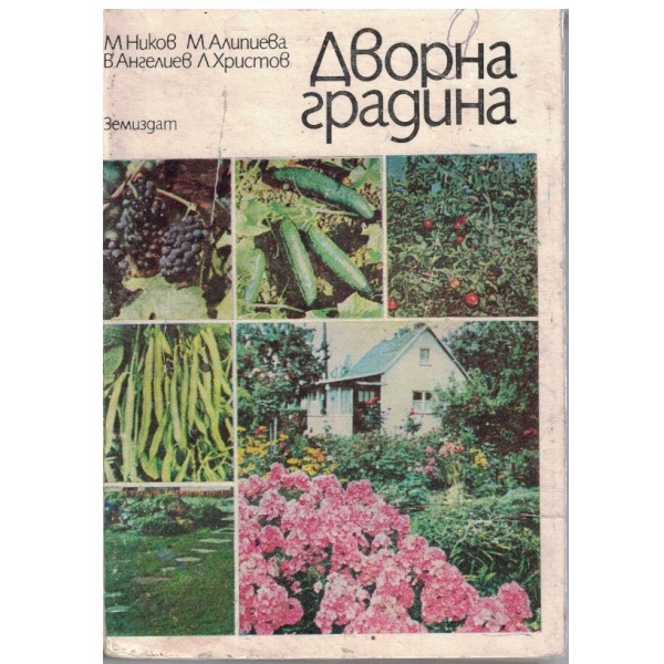Дворна градина