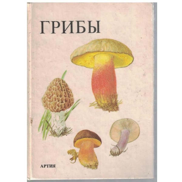 Гриби