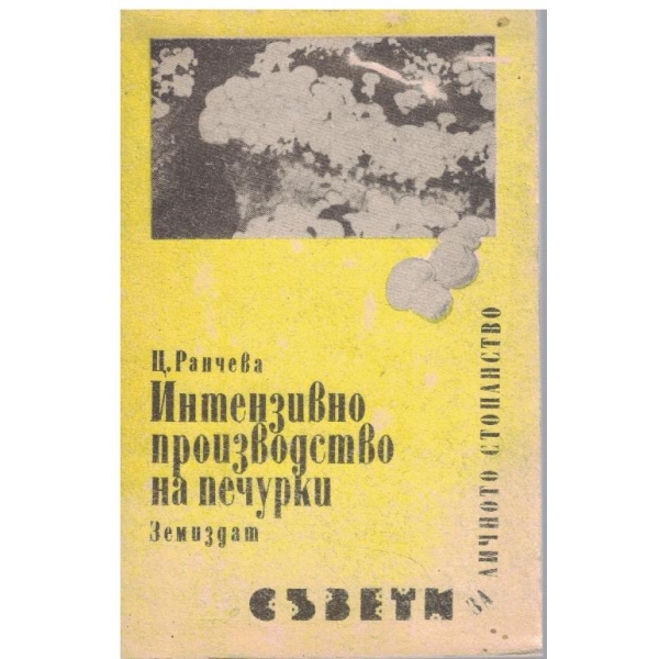 Интензивно производство на печурки