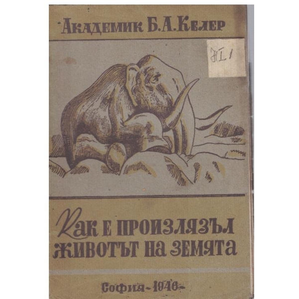 Как е произлязъл животът на Земята