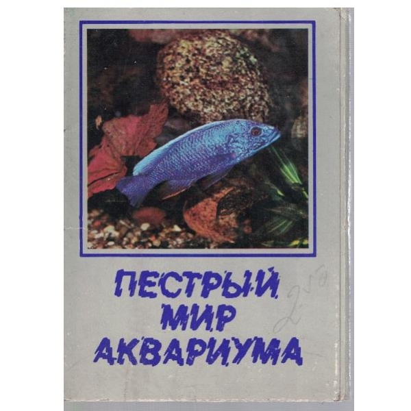 Пестрий мир аквариума