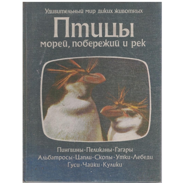 Птици морей, побережий и рек