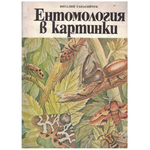 Ентомология в картинки