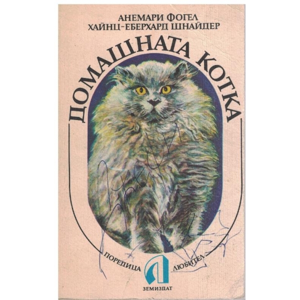 Домашната котка