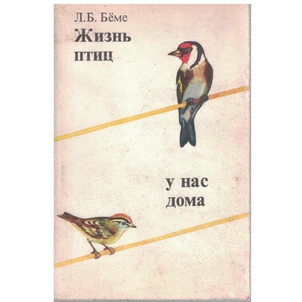 Жизнь птиц у нас дома