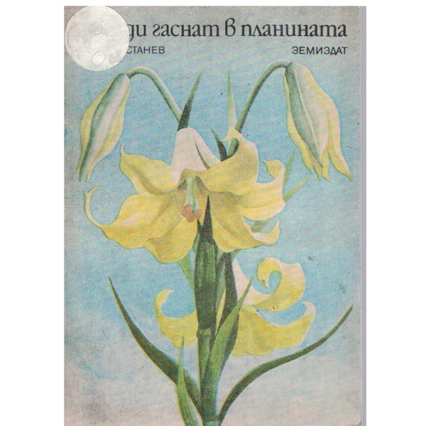 Звезди гаснат в планината