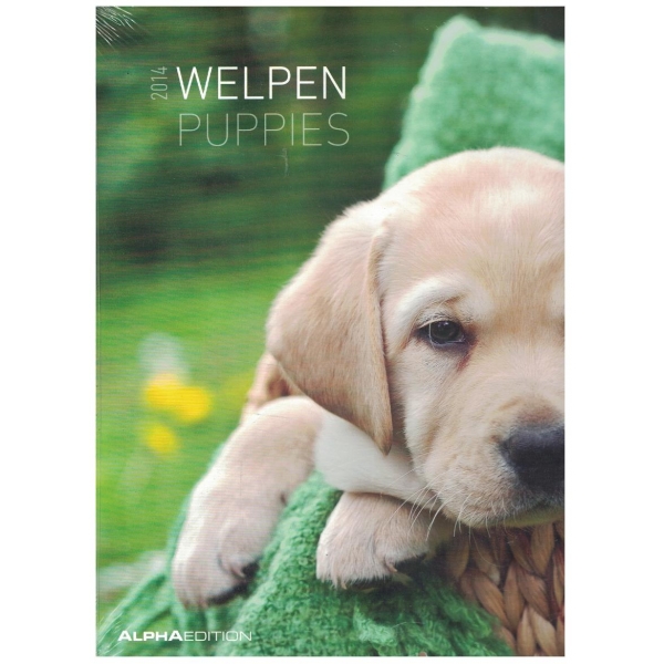 Puppies calendar