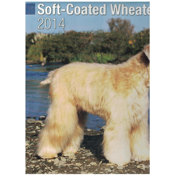 Soft-Coated Wheaten Terrier