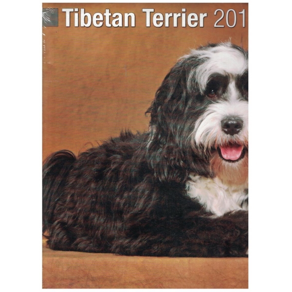 Tibetan Terrier 2014