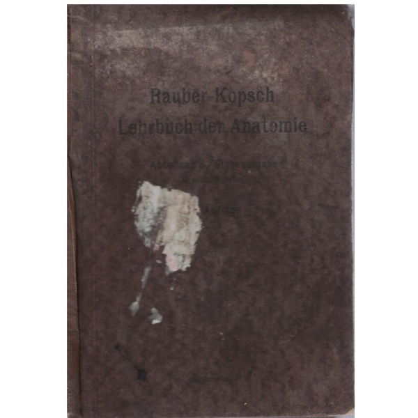 Rauber's Lehrbuch der Anatomie des Menschen