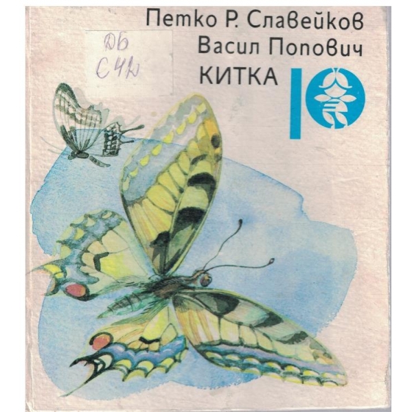 Китка