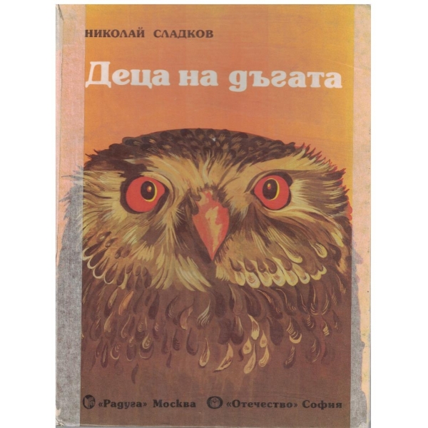 Деца на дъгата
